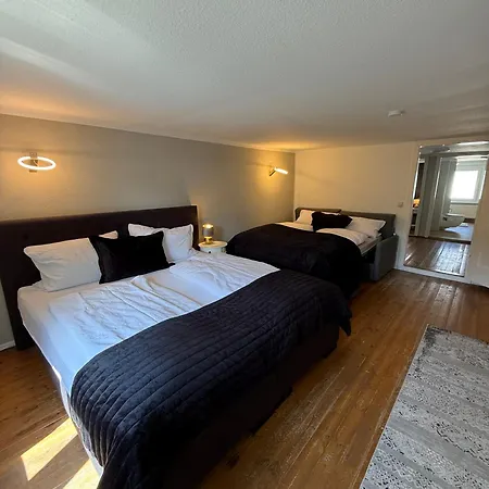 Holiday home Fuer Familientreffen Mit Grossem Garten, 4 Schlafzimmer, 2 Baeder, Parkplaetze Erfurt